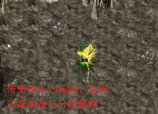 ����PK����ָ�ϣ����ѡ��װ����������ԣ�