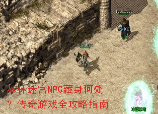 �����Թ�NPC�����δ���������Ϸȫ����ָ��