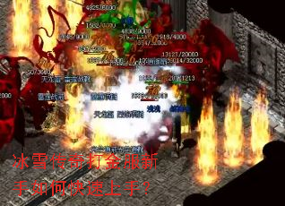 ��ѩ�������������ο������֣�