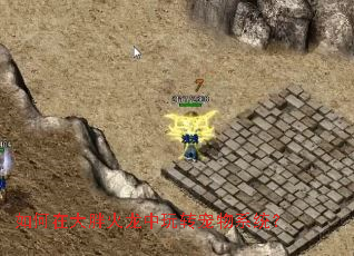 如何在大胖火龙中玩转宠物系统? 如何在大胖火龙中玩转宠物系统?