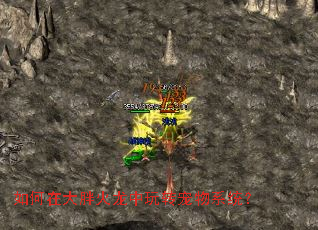 如何在大胖火龙中玩转宠物系统? 如何在大胖火龙中玩转宠物系统?