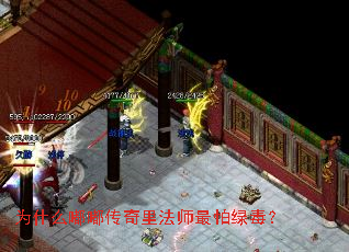 为什么嘟嘟传奇里法师最怕绿毒? 为什么嘟嘟传奇里法师最怕绿毒?