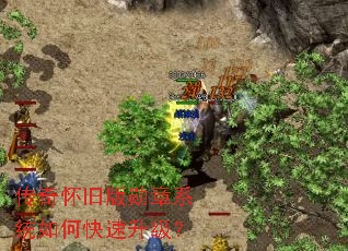 ���滳�ɰ�ѫ��ϵͳ��ο���������