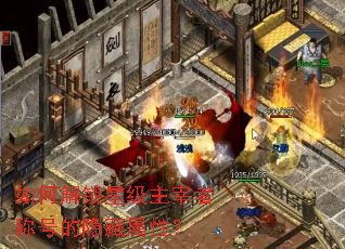 ��ν����Ǽ������߳ƺŵ��������ԣ�