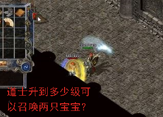 ��ʿ�������ټ������ٻ���ֻ������