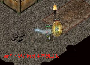 ��β�������Ϸ�в��ϳɳ���