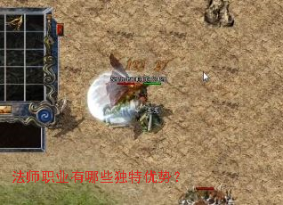 ��ʦְҵ����Щ�������ƣ�