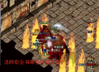 ��ʦְҵ����Щ�������ƣ�