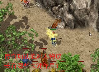 ���湦ѫֵ������ɳ�����Щ�ؼ����ã�