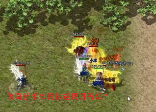 ����������ο��������ȼ���