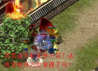 ��ʵ��ʿְҵ����������Щ���Լ�������������