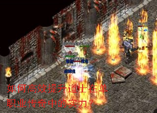 ��θ�Ч������ʿ�ڵ�ְҵ�����е�ʵ����