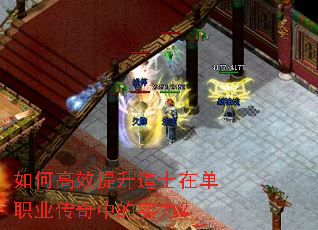 ��θ�Ч������ʿ�ڵ�ְҵ�����е�ʵ����