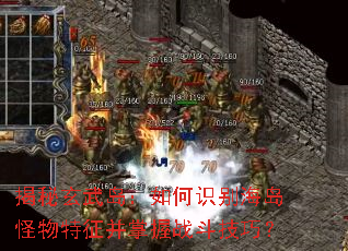 �������䵺�����ʶ�𺣵���������������ս�����ɣ�