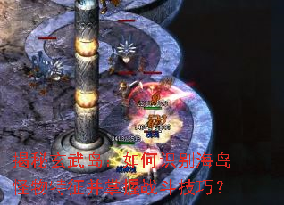 �������䵺�����ʶ�𺣵���������������ս�����ɣ�