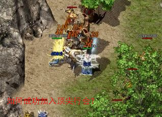 ��γɹ����붥���л᣿