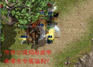 ����ɳ�Ǿ����ܴ�����Щר��������