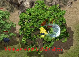 ��������������ο�������ս����