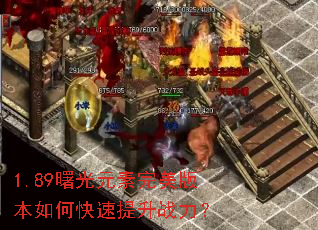 1.89���Ԫ�������汾��ο�������ս����