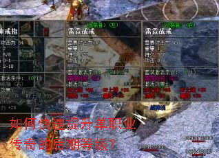 ��ο���������ְҵ����ĺ��ڵȼ���