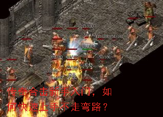 ����ϻ��������ţ���ο������ֲ�����·��