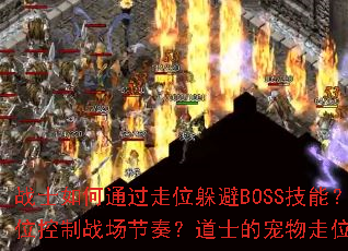 սʿ���ͨ����λ���BOSS���ܣ���ʦ����������λ����ս�����ࣿ��ʿ�ĳ�����λ����Щ�߼����ɣ�