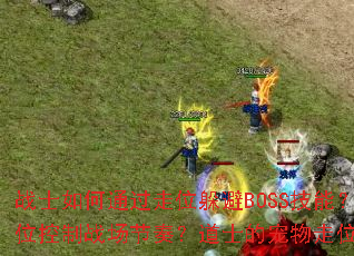 սʿ���ͨ����λ���BOSS���ܣ���ʦ����������λ����ս�����ࣿ��ʿ�ĳ�����λ����Щ�߼����ɣ�