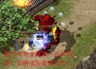 ���´���ȫ����һ��ʦ��˭����γ�Ϊ��ǿ��ʦ��