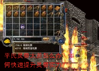 ƽ������̫����ô�죿��ο�����������ʵ����