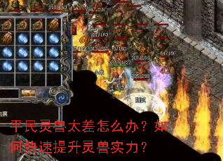 ƽ������̫����ô�죿��ο�����������ʵ����