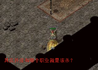 ��ʵ��û���ĸ�ְҵ���Ǹ�ɱ��