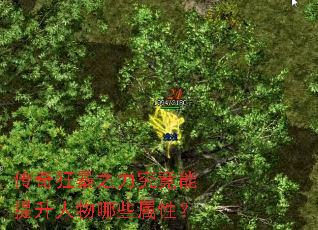 传奇狂暴之力究竟能提升人物哪些属性? 传奇狂暴之力究竟能提升人物哪些属性?