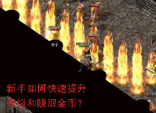 ������ο��������ȼ���׬ȡ��ң�