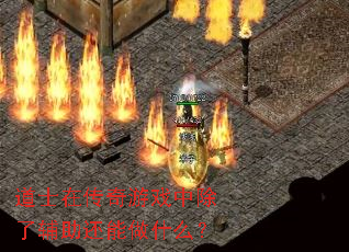 道士在传奇游戏中除了辅助还能做什么? 道士在传奇游戏中除了辅助还能做什么?