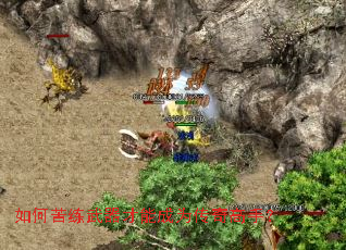 ��ο����������ܳ�Ϊ������֣�