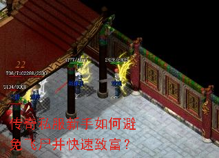 传奇私服新手如何避免飞尸并快速致富? 传奇私服新手如何避免飞尸并快速致富?