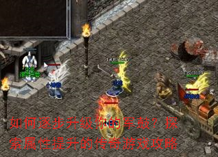 �����������ľ��ģ�̽�����������Ĵ�����Ϸ����