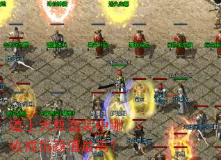 ��ʿ������װ����ö��ָ��ֵ��ߣ�