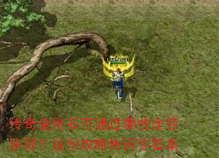 ������ʯ��ͨ����Щ;����ȡ����ݹ��Ը������