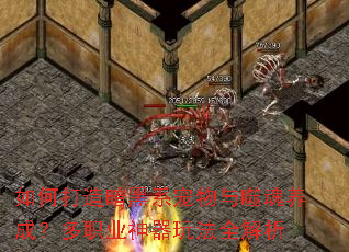 ��δ��찵��ϵ�������ɻ����ɣ���ְҵ�����淨ȫ����