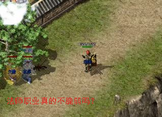 ��ʦְҵ��Ĳ�������