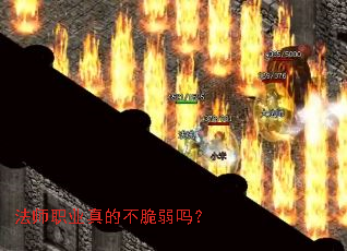 ��ʦְҵ��Ĳ�������