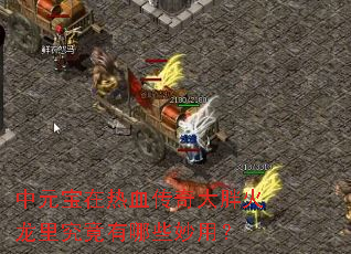 ��Ԫ������Ѫ������ֻ����﾿������Щ���ã�