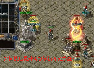 ��ο��������ȼ��������زʵ���