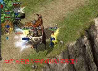 ��ο��������ȼ��������زʵ���