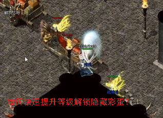 ��ο��������ȼ��������زʵ���