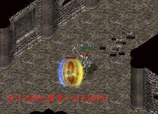 ��ʵ��ʦҲ����һ���ٻ�ʦ��