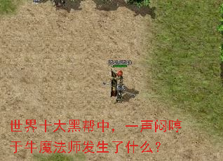 ����ʮ��ڰ��У�һ���ƺ���ţħ��ʦ������ʲô��