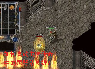 ��θ�Ч���ܴ����еĺ�Ұ��Ӣ�ۣ�