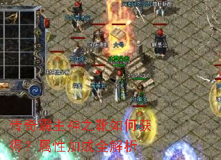 ���������֮ѥ��λ�ã����Լӳ�ȫ����